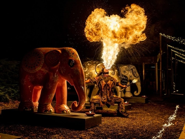 Professionele vuurspuwer in volle actie