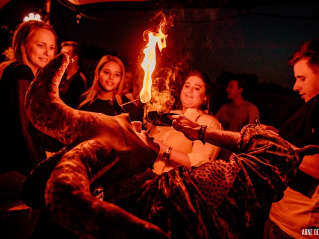 Vurige nar eet vuur in Antwerpse bar